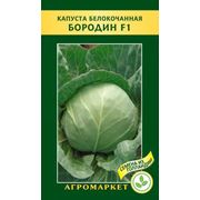 Семена овощей сорт Капуста белокочанная Бородин F1. Опт
