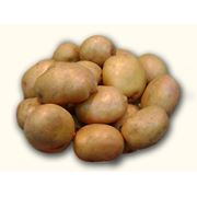 Семена картофеля фото