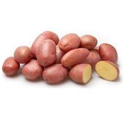 Семена картофеля семена для овощеводства