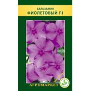 Семена цветов сорт Бальзамин фиолетовый F1. Опт фотография