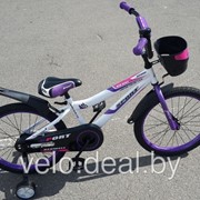 Велосипед детский Sport S20 фото