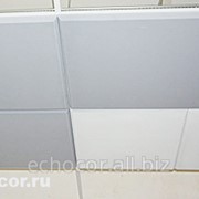 Потолочная панель скрытого монтажа, ЭхоКор 90 ПС, 1200х600 мм фото