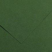 Canson Бумага цветная Canson Iris Vivaldi, 185 гр/м2, 50 x 65 см Зеленый еловый фото