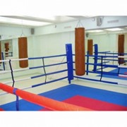 Ринг боксёрский на растяжках Atlet 6х6 м, боевая зона 5х5 м, монтажная площадка 9х9 м IMP-A427 фотография