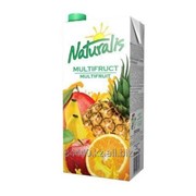 Нектар мультифрукт «Naturalis», Tetra Pak 1/2/0,2 л фото