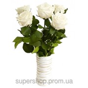 Букет долгосвежих роз Белый Бриллиант 228-1841236 фотография