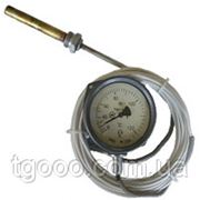 Термометр манометрический ТКП-60 показывающий фотография