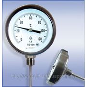 Термометры биметаллические ТБ специльное исполнение фото