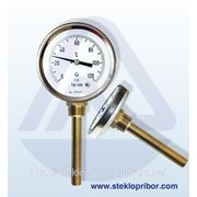 Термометр биметаллический тб-100 фото