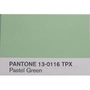 Ткань Футер c начесом (pastel green) Pantone 13-0116TPX фотография