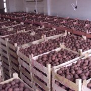 Отгрузка продукции фото