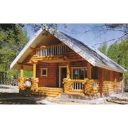 Дома из оцилиндрованного бревна фото