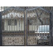 Ворота из металла фотография