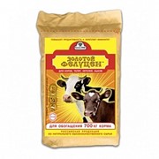 Золотой Фелуцен д/коров, нетелей, быков, телят старше 6 мес. гранулы 3 кг (6) фото
