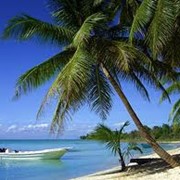 Организация международного туризма фото