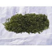 Стеклянная крошка зеленый хром COE 82 мелкий 1000 гр. фото