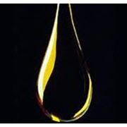 Нефть фотография