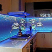 Кухня с фотофасадом (морская тематика) фотография