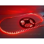 Светодиодная LED лента smd 5050 (60 диод/м) фото