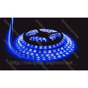 LED лента SMD 3528, 60 шт/м, синяя фото