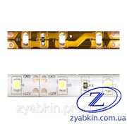 Светодиодная лента LS604/LED-RL 60SMD(3528)/m 4.8W/m 12V 5m*8*0.22mm желтый ІР65