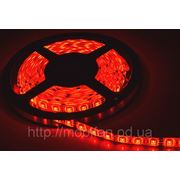 Светодиодная лента LED красная ML5050/12/60/R/PU фотография