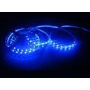 Светодиодная лента 60 LED (3528), синяя фото