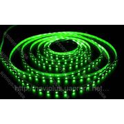 LED лента SMD 3528, 60 шт/м, зеленая фотография