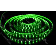 LED лента SMD 3528, 60 шт/м, зеленая фото