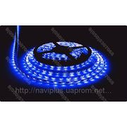 LED лента SMD 3528, герметичная, 60 шт/м, синяя фото