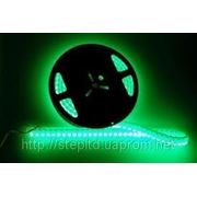 Светодиодная лента герметичная 120 LED (3528), зеленая фото