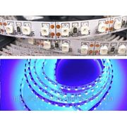 Светодиодная гибкая лента на самоклеющейся основе LED strip 3528-120B-8MM-12V-9.6W 5m фото