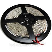 Светодиодная лента SMD 3528 60LED/m IP20 фото