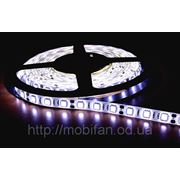 Светодиодная лента LED белая ML5050/12/60/W/PU фото