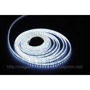 Светодиодная лента (LED лента) smd 3528 120LED/m влагозащищенная Премиум фото