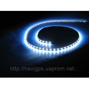 LED лента SMD 3528, 60 шт/м, белая,синяя,зеленая,красная фото