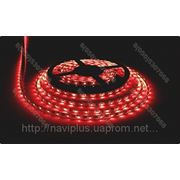 LED лента SMD 3528, герметичная, 60 шт/м, красная фотография