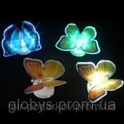 Бабочка с подсветкой. фото