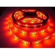 Светодиодная лента, светодиоды - SMD 5050, 60шт./м, водопроницаемая, красный фото