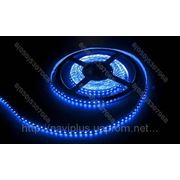 LED лента SMD 3528, герметичная, 120 шт/м, синяя фотография