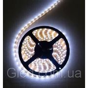 Светодиодная лента SMD 5050 60 LED WB (белый холодный)