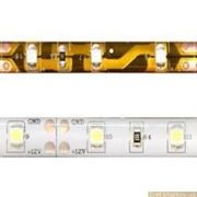 Светодиодная лента LS604 60SMD(3528)/m 4.8W/m 12V IP65 Feron фото