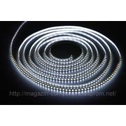 Светодиодная лента (LED лента) smd 3528 120LED/m Премиум фотография