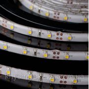 Белая светодиодная лента SMD 3528 LED 60-24V IP 33 (не влагозащищенная) Стандарт фото