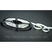 Светодиодная лента LEDMAX Стандарт 3528 60 диодов на метр IP20 фото