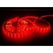 Светодиодная лента герметичная 60 LED (5050), красная фото