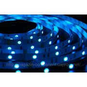 Светодиодная лента RGB (LED лента) smd 5050 30LED/m фотография
