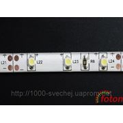 Светодиодная лента SMD 3528 (60 LED/m) IP54