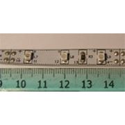 Світлодіодна стрічка RC3528BP30-F синій, 60шт/ 12V, 4,8 Вт IP24. фото