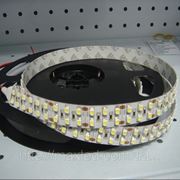 Светодиодная лента LEDMAX 3528 240 диодов на метр IP20 фото